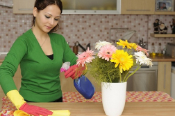 Экологическая уборка квартир